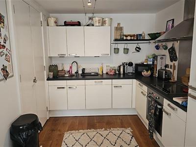 Picture 5